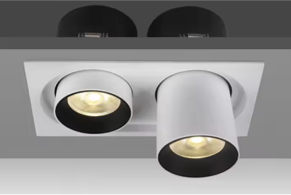 Double Head Rectangular Spotlight COB Ceiling LED Spot Down Light Project Recessed Downlight